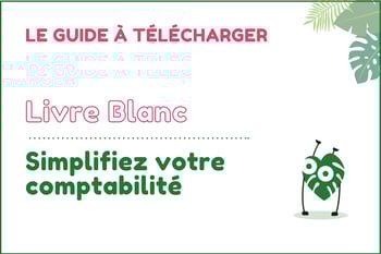 Jungloo LB Automatisation comptable