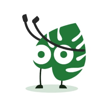 Jungloo ola Jungloo ola
