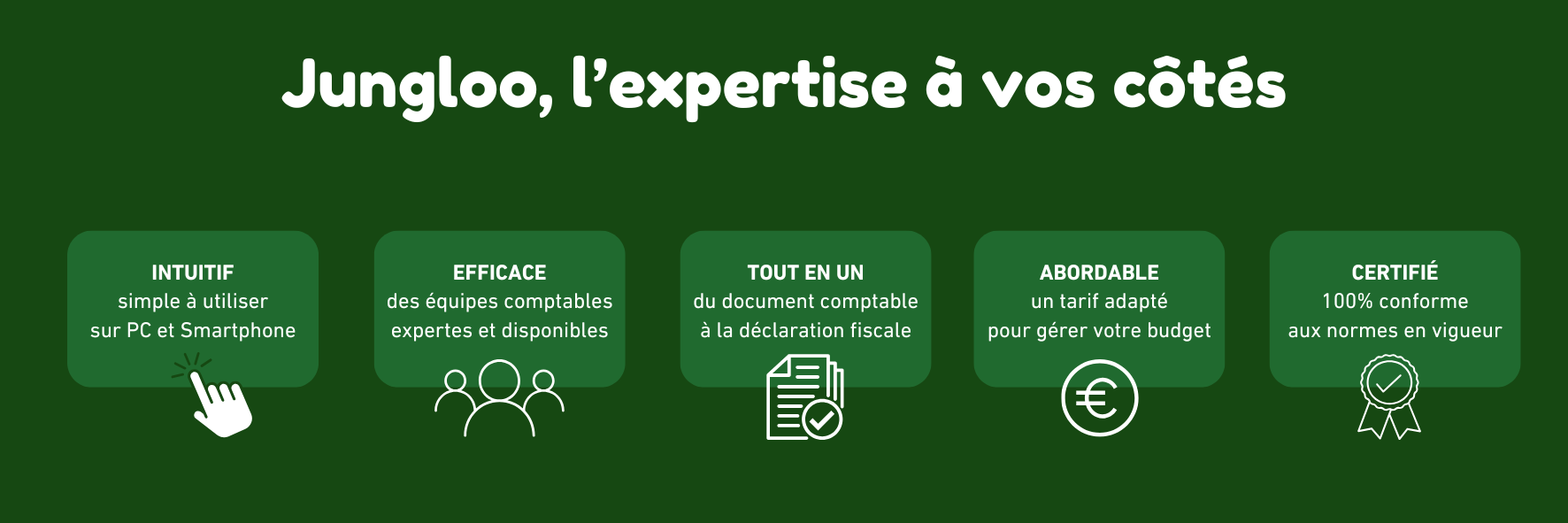 site web _Jungloo, l’expertise à vos côtés (3)